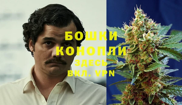 амфетамин Белокуриха