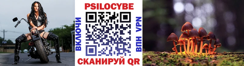 Псилоцибиновые грибы GOLDEN TEACHER  ОМГ ОМГ рабочий сайт  Озёрск 